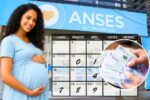 Guía completa ANSES 2026 calendario oficial de pagos requisitos y bonos confirmados