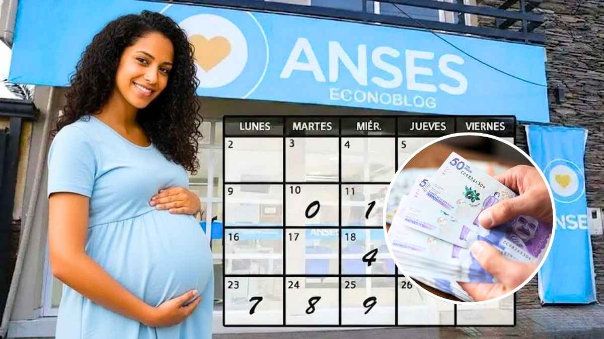 Guía completa ANSES 2026 calendario oficial de pagos requisitos y bonos confirmados